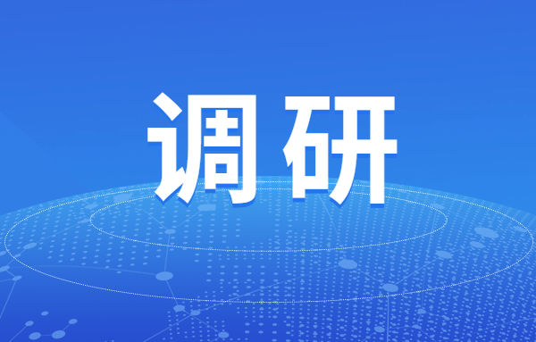 云南金控集团赴大理开展专题调研