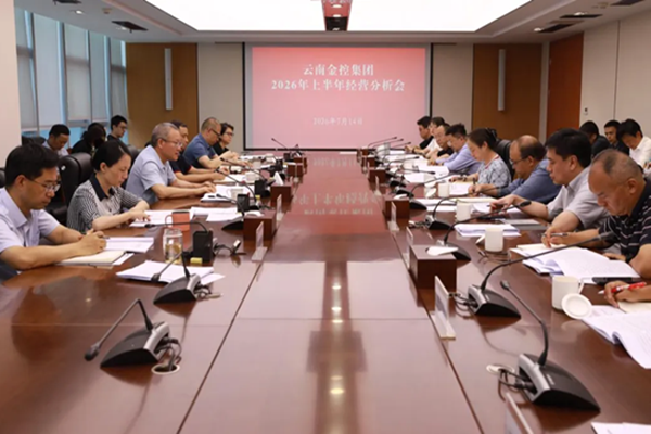 集团召开2026年上半年经营分析会