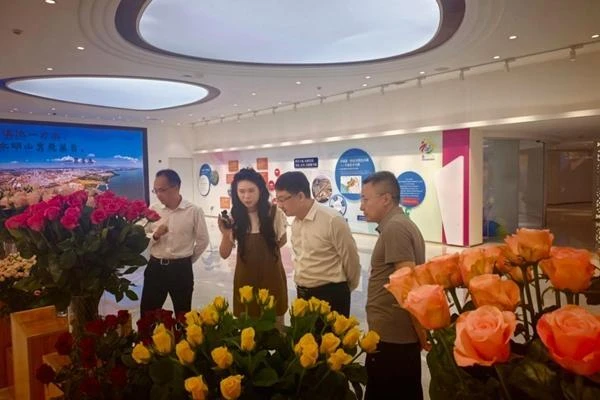 加大基金合作力度 加快项目落地进度——国投创益与集团联合开展专项调研