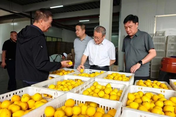 集团到大理州巍山县开展专题调研