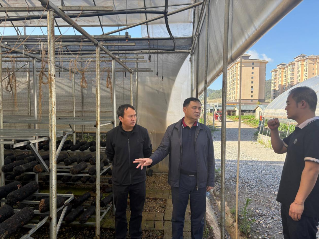 云南金控集团圆满完成驻村工作队员轮换